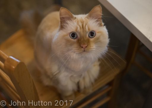 butters_1200_watermark.jpg
